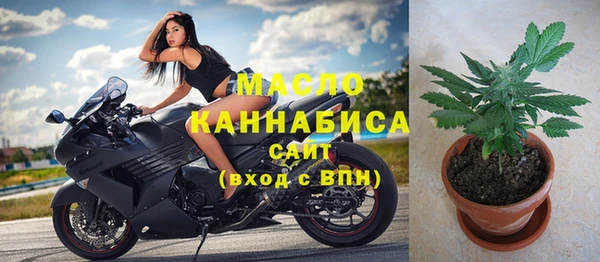 твердый Снежногорск