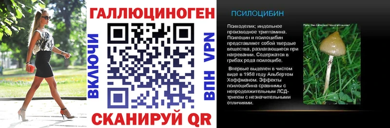 это состав  Щёкино  Псилоцибиновые грибы прущие грибы  магазин продажи  